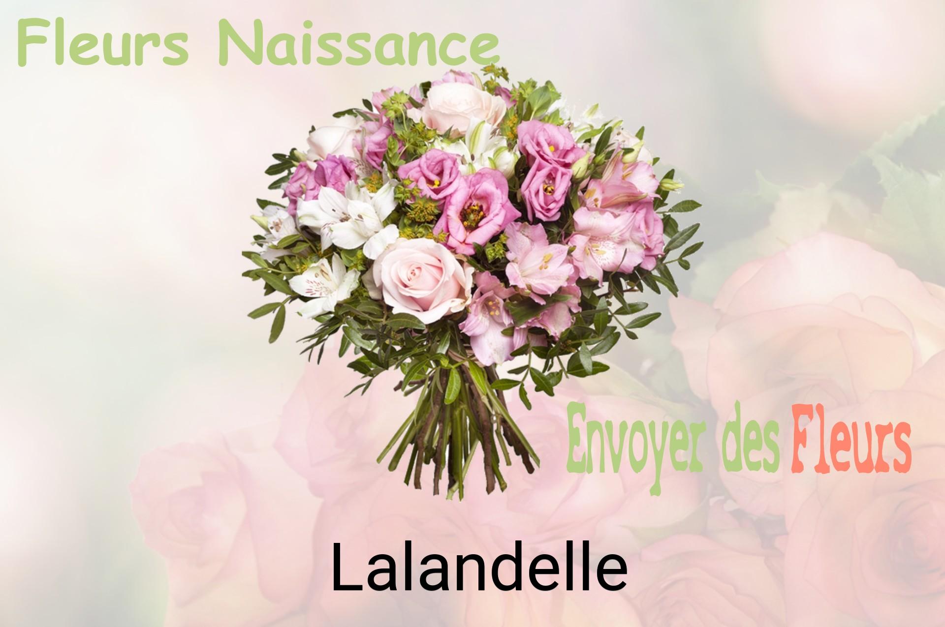 Bouquet de fleurs de naissance livré à Lalandelle